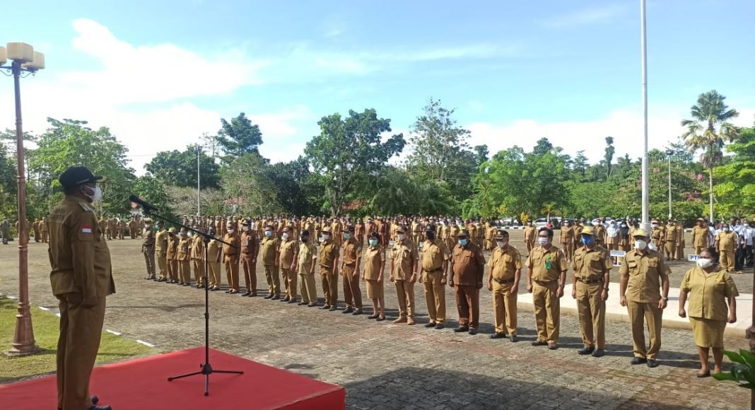 Honorer Pemkab Teluk Bintuni