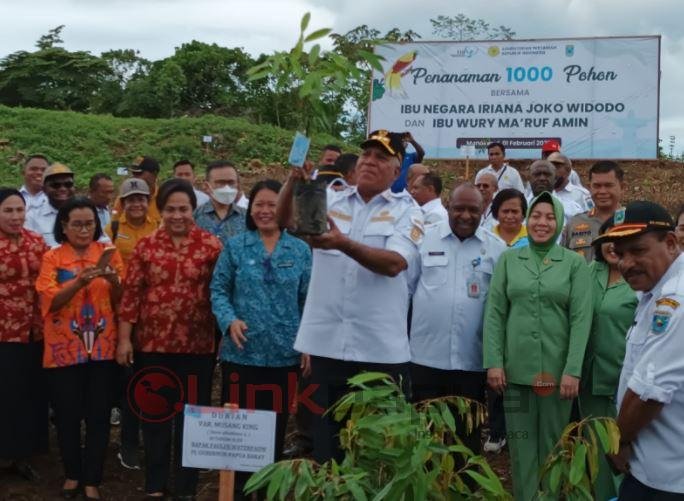 papua barat tanam durian