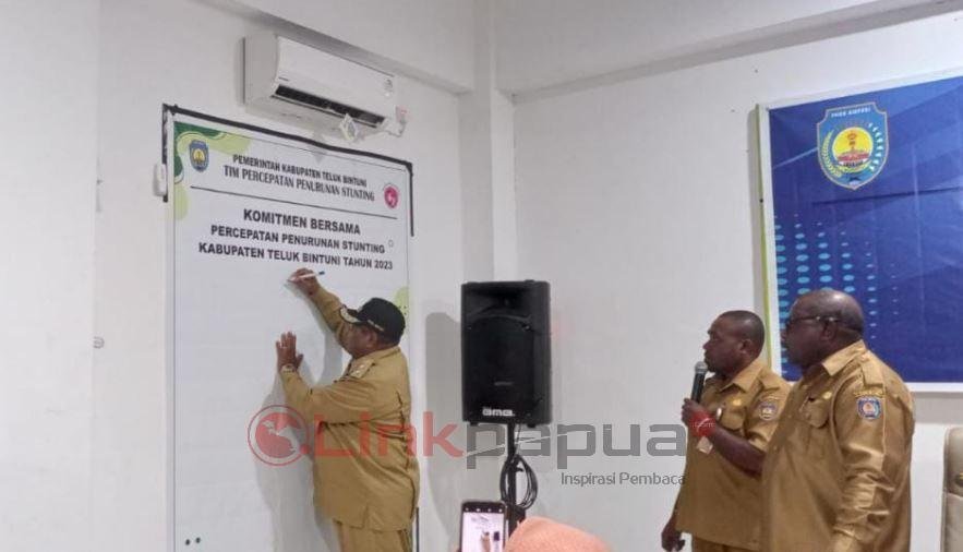 dinas kesehatan bintuni 2