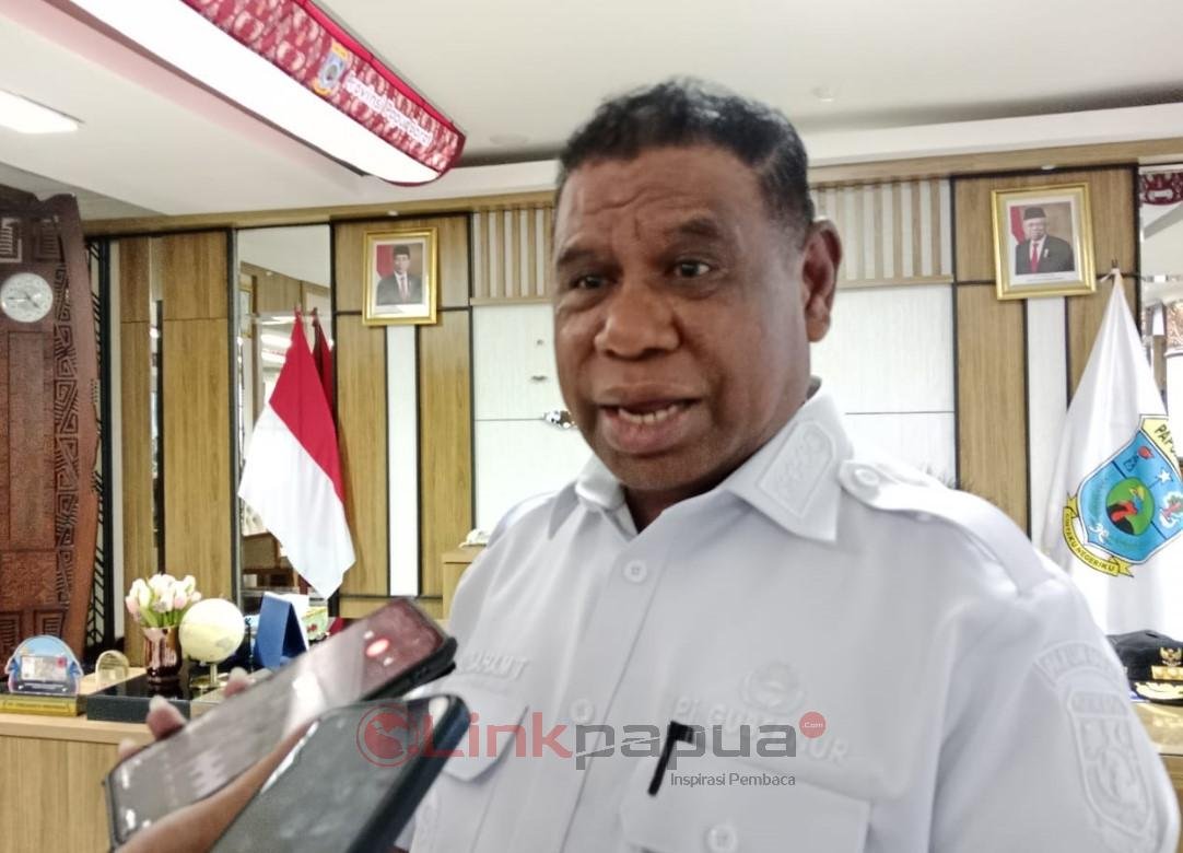 pj gubernur ali baham