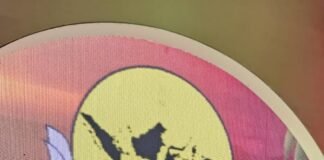 Dilantik Jadi Sekum HIPMI Papua Barat, Nadia Siregar: Siap Lanjutkan Tongkat Estafet