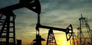 MRP Papua Barat Desak Percepatan PI 10% Migas untuk Masyarakat Adat Bintuni