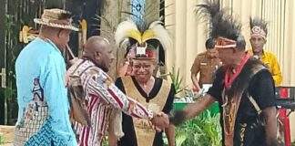 Ruang Hidup OAP Terancam, Dewan Adat Papua Tolak Proyek Strategis Nasional