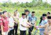 Sapi Kurban Presiden Prabowo Diserahkan ke Warga Bintuni, Berbobot 839 Kg