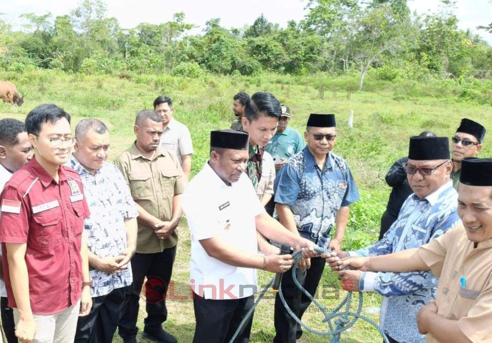 sapi prabowo bintuni