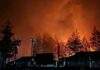 Warga di Puncak Papua Tengah Bakar Kantor Bupati-DPRD Usai Dana Desa Tertunda