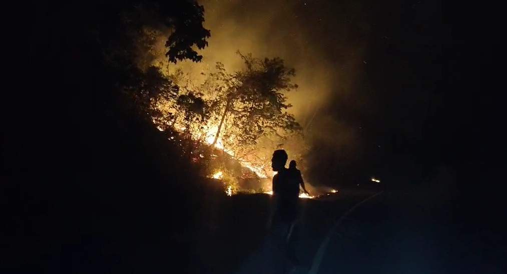 kebakaran gunung botak