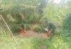 Wujud Kepedulian TNI, Satgas TMMD Bantu Warga Ambil Air dari Sungai