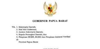 Pemprov Papua Barat Berlakukan WFH Imbas Kabut Asap, Pelayanan Publik Tak Boleh Terganggu